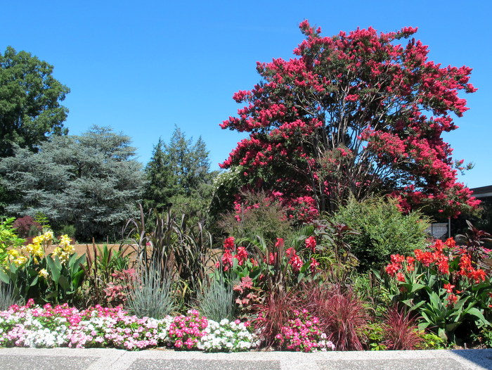 washington dc arboretum