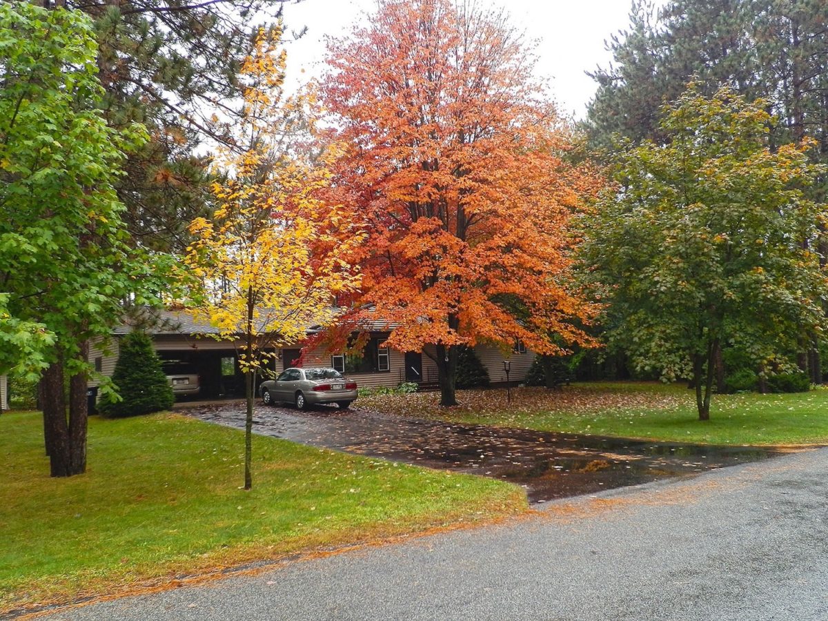 A house with lawn and trees in fall