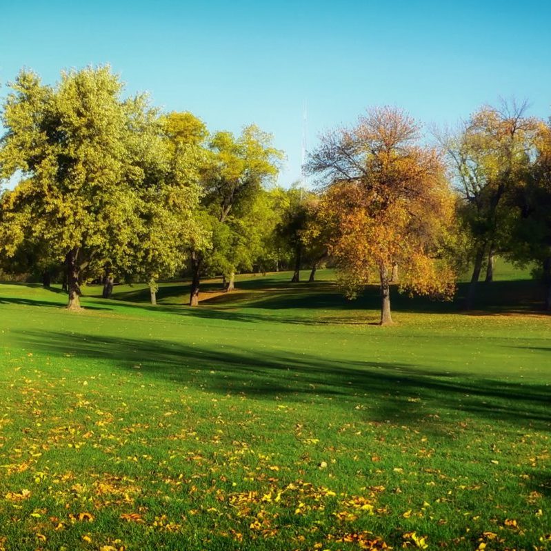 autumn lawn care