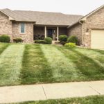 8 Summer Lawn Care Tips for Indianapolis, IN