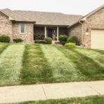 8 Summer Lawn Care Tips for Indianapolis, IN