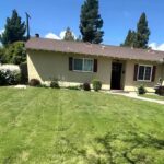Grass Types Guide for Lawns in Los Angeles, CA