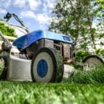 6 Spring Lawn Care Steps for Chicago, IL Homeowners