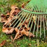 7 Fall Lawn Care Tips for Chicago, IL Homeowners