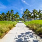 4 Best Types of Grass for a Lush Miami Lawn