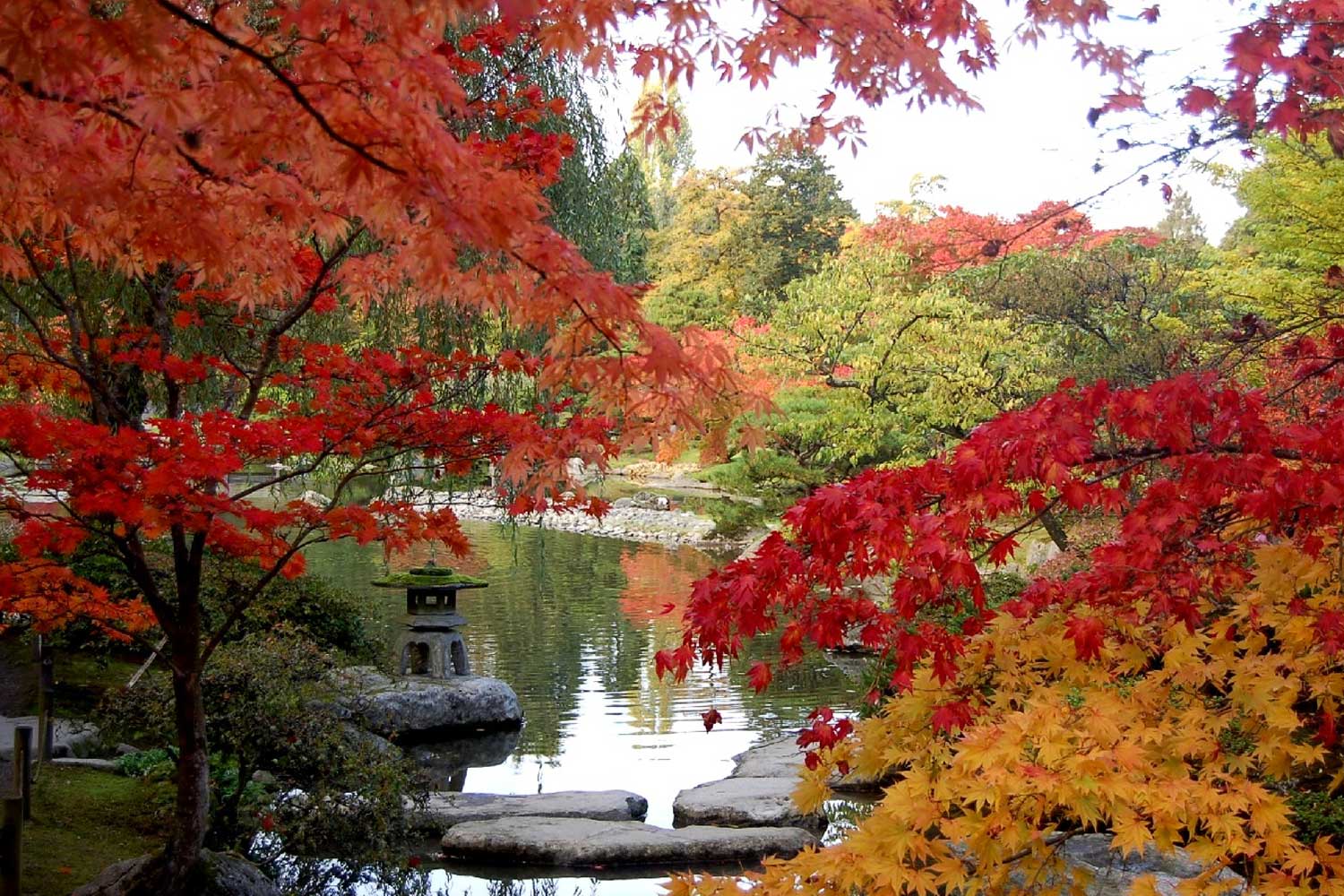 5 Must Visit Glamorous Gardens In Seattle Wa Lawnstarter