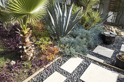 8 Tips For Xeriscaping In Milwaukee Wi, What Is Xeriscape Landscaping