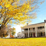 4 Fall Lawn Care Tips for Milwaukee, WI