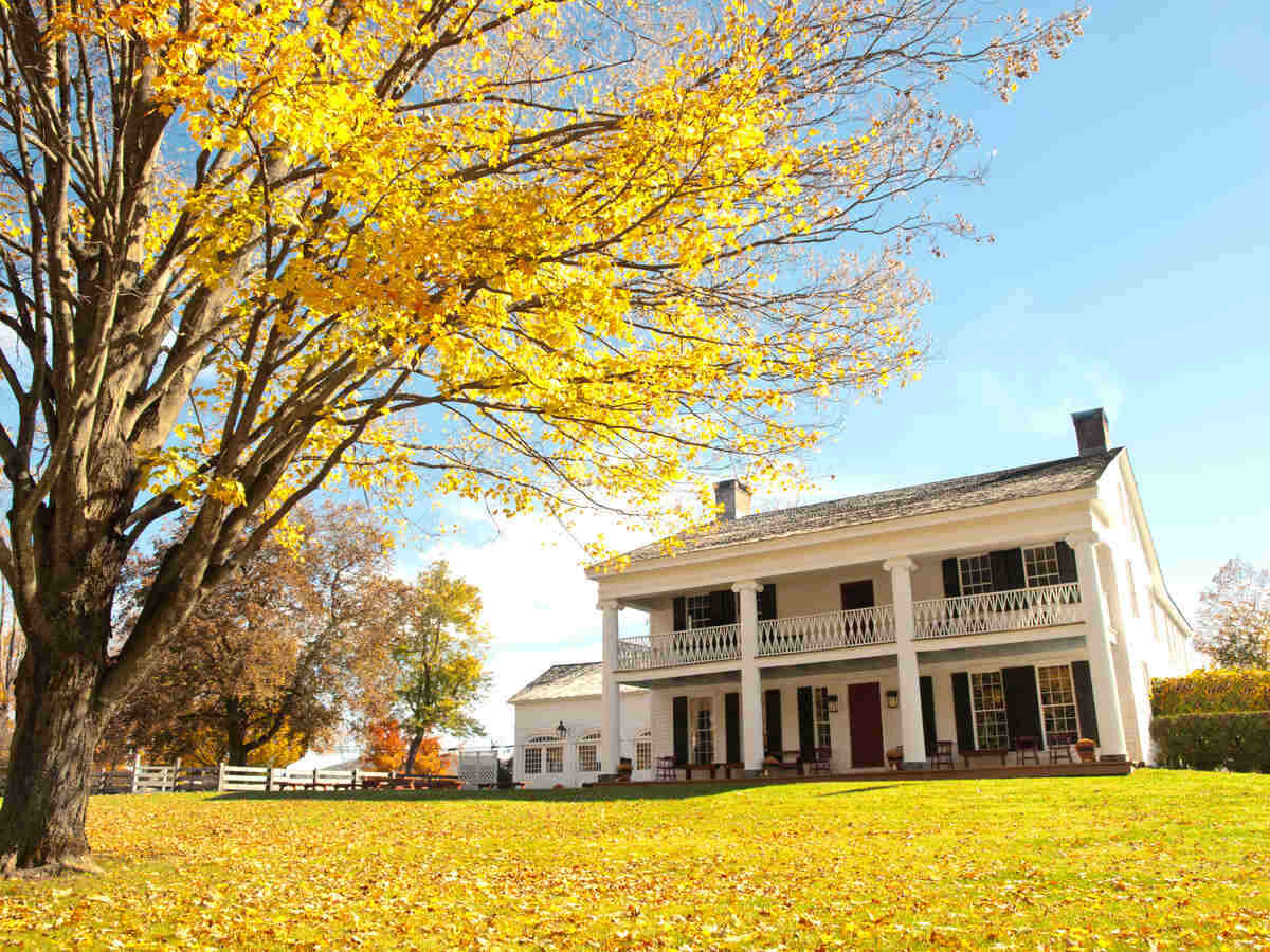 plantation in autumn