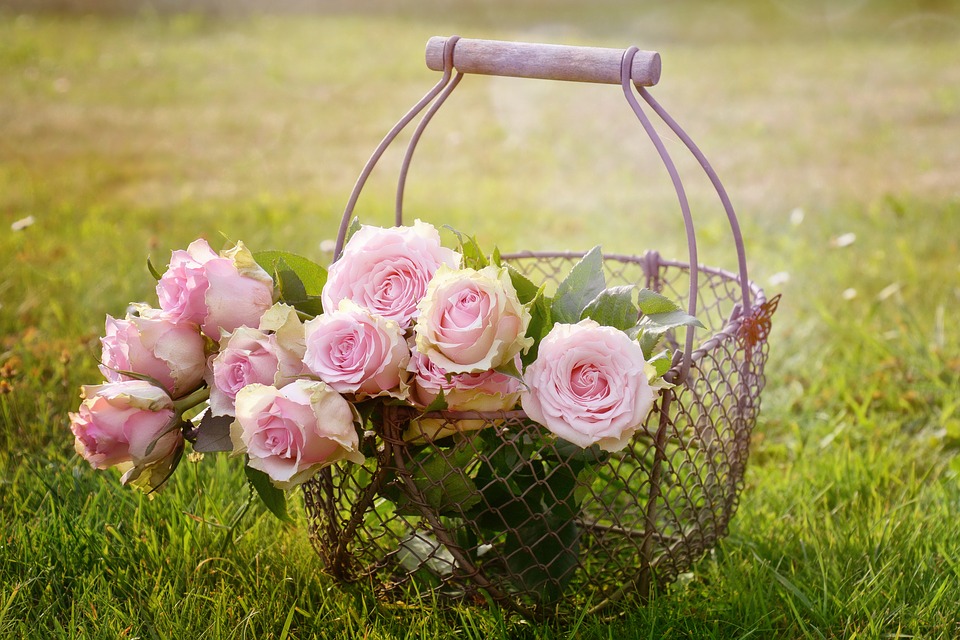 Roses in a rustic basket