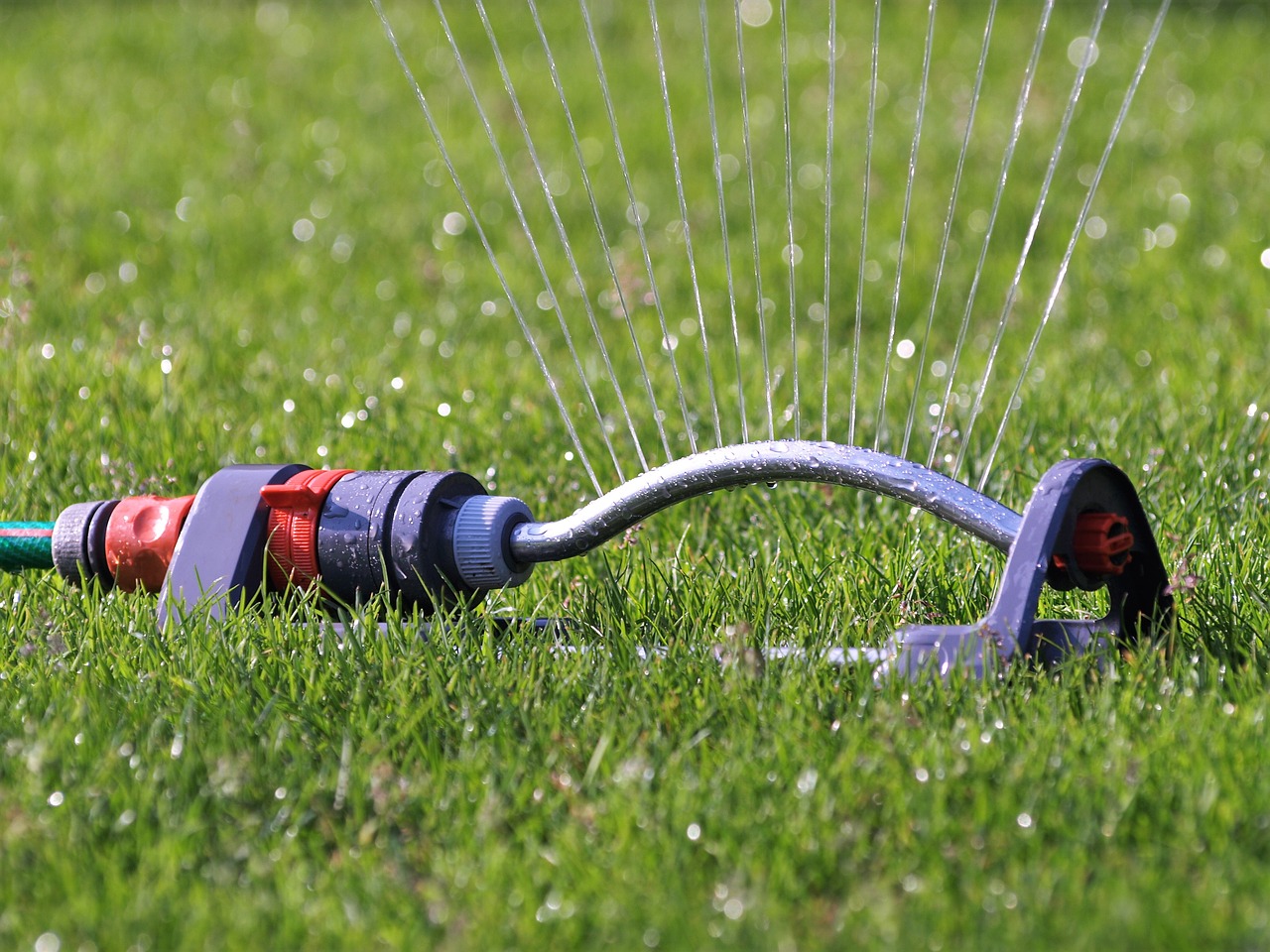 Sprinkler in a lawn