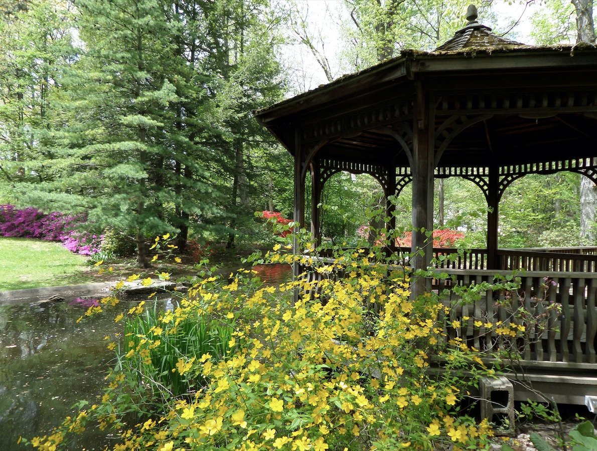 5 Places to Explore Nature in Toledo, OH
