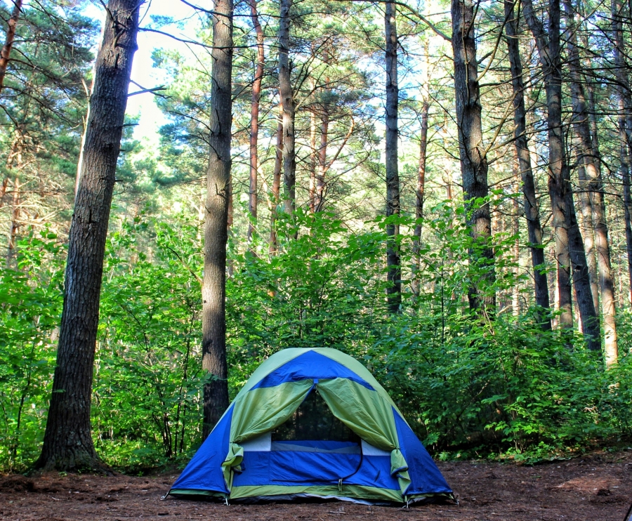 best places to camp west