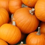 15 Cities Most Interested In National Pumpkin Day 2018