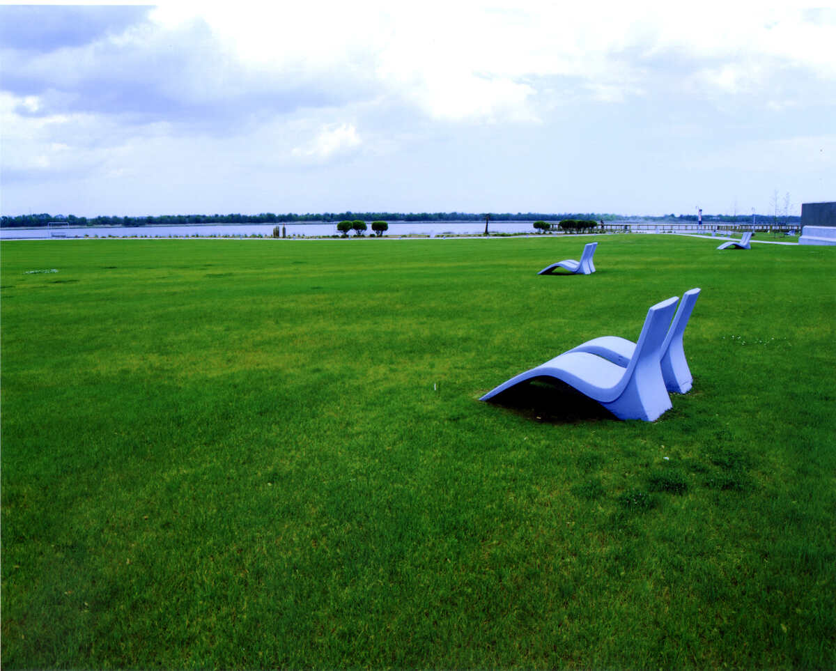 image of a lawn in charleston