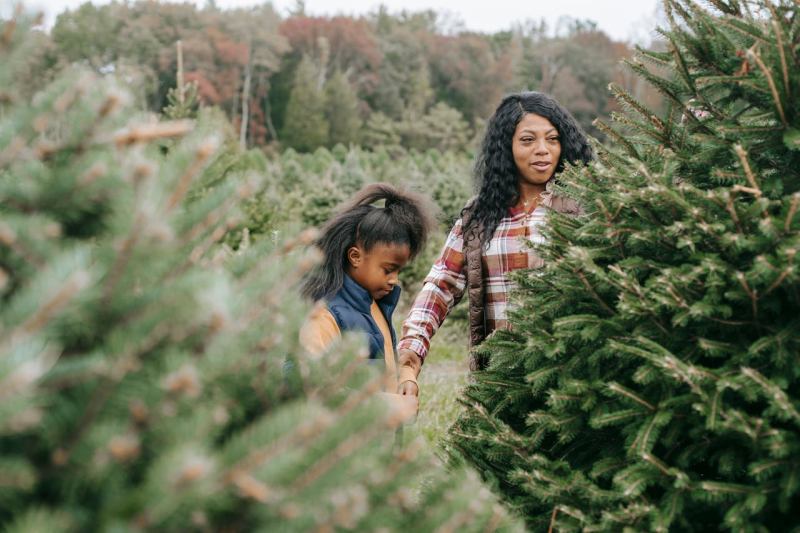 Smiling black mother holding hands with daughter on tree farm 