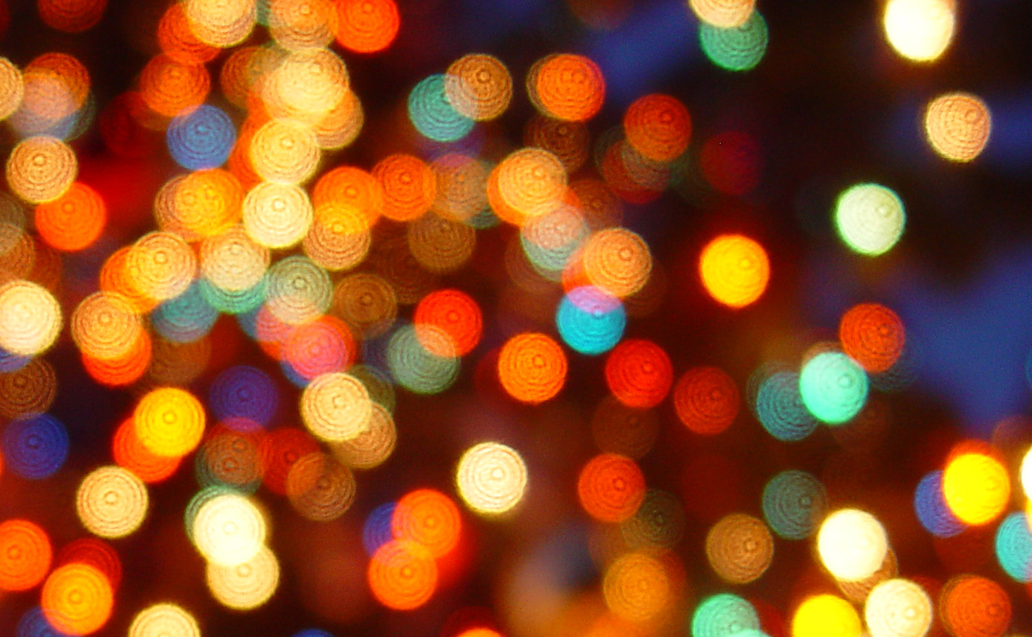 Ingeniører forslag holdall The 8 Places Where Christmas Lights Truly Make People's Faces Light Up -  Lawnstarter