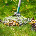 8 Fall Lawn Care Tips for Greenville, SC