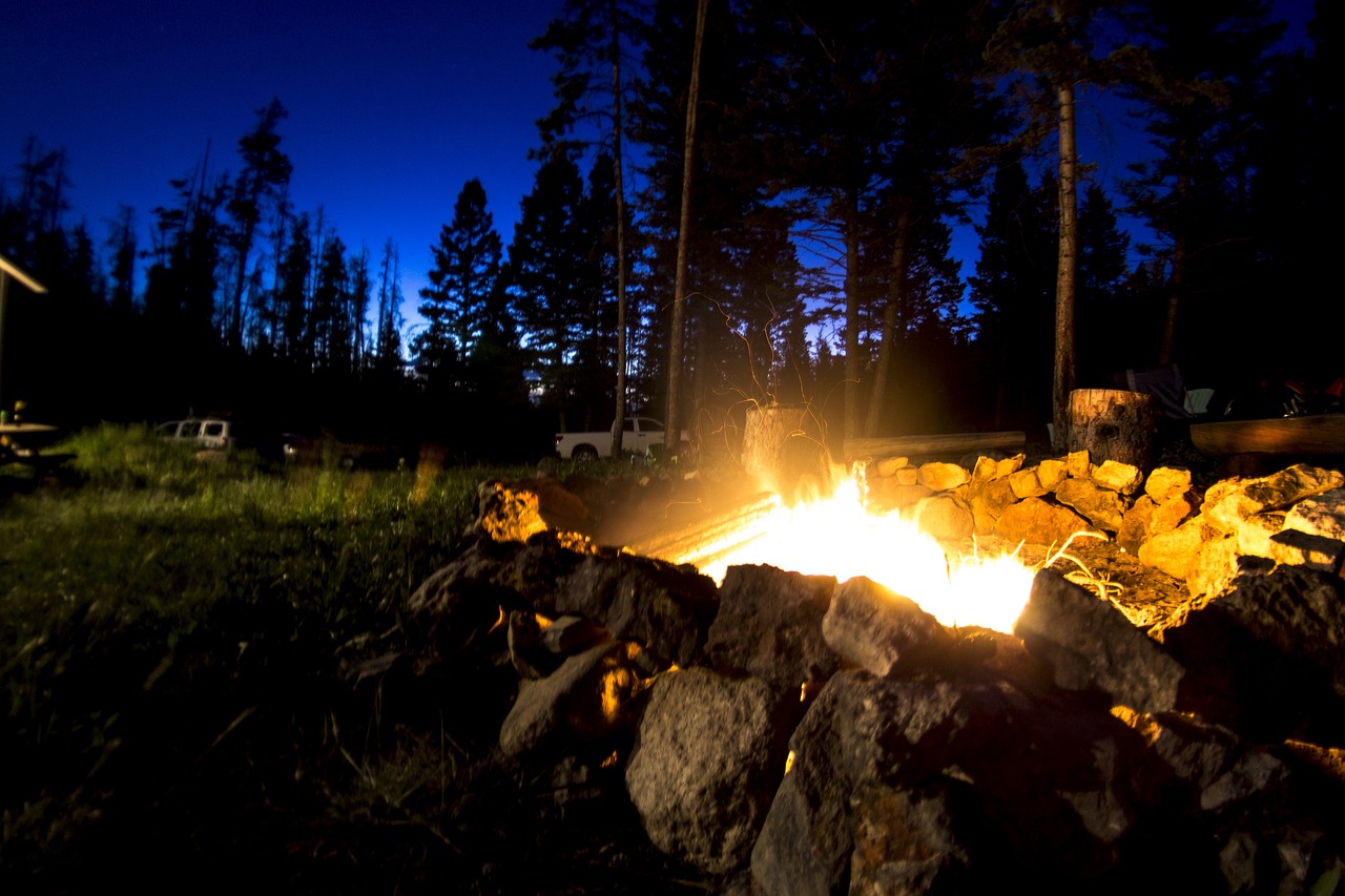 fire pit in a lawn