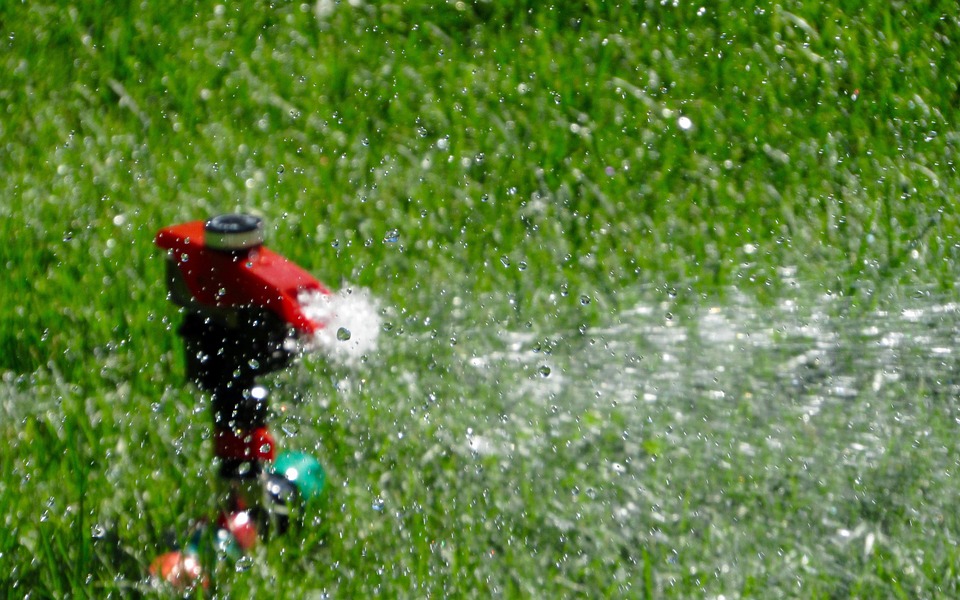 water lawn