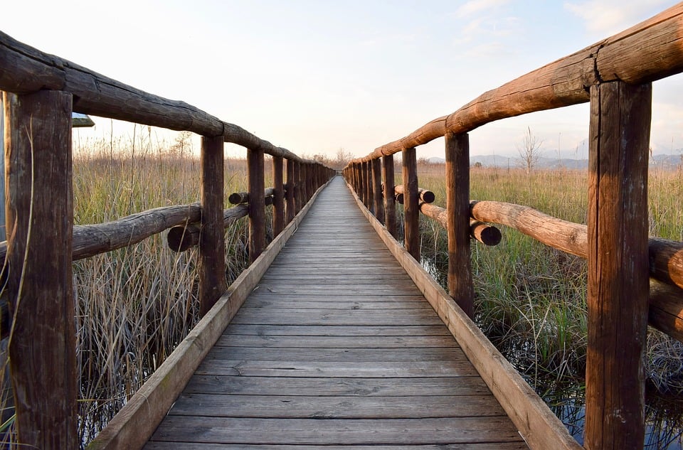 wood trail