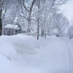 Winter Lawn Care Guide for Lansing, MI