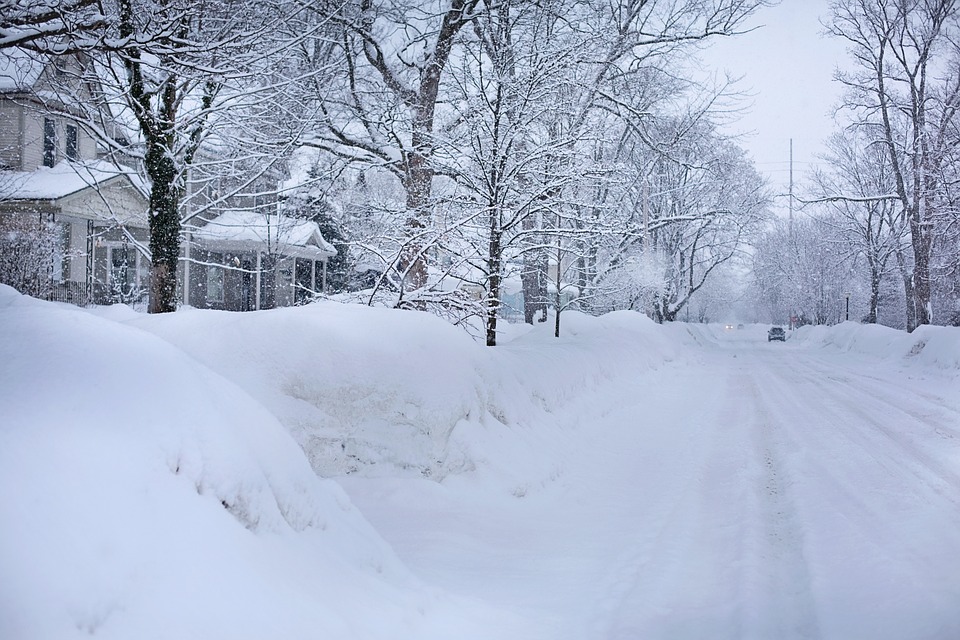 Winter Lawn Care Guide for Lansing, MI