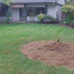 Planting Grass After Stump Grinding