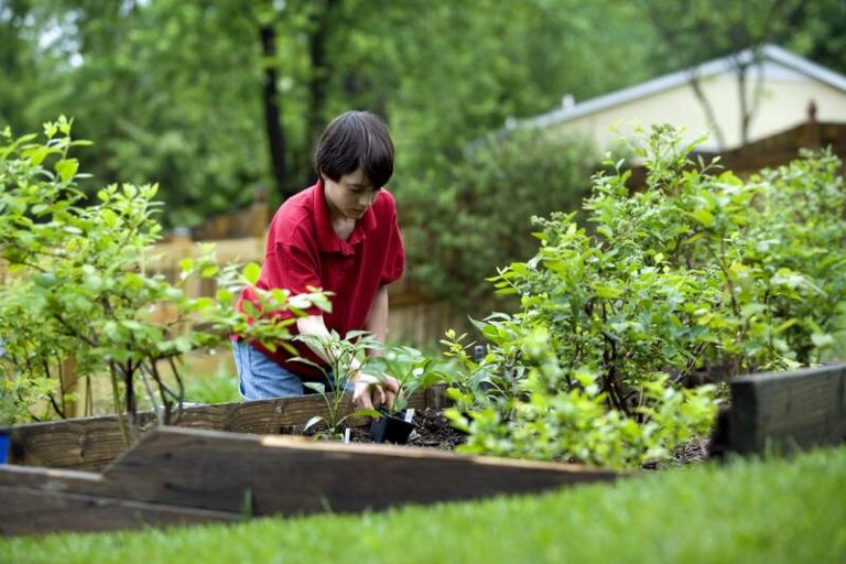 How To Remove Leaves From Mulch and Flower Beds