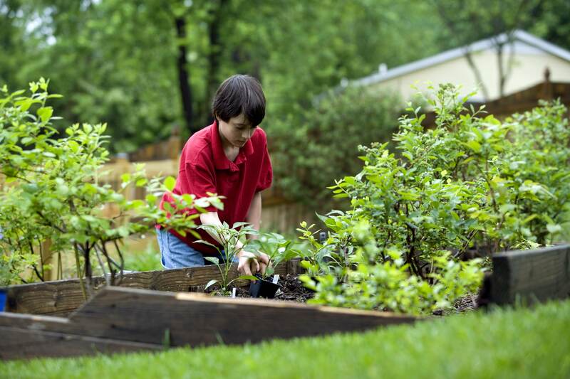 Gardening boy