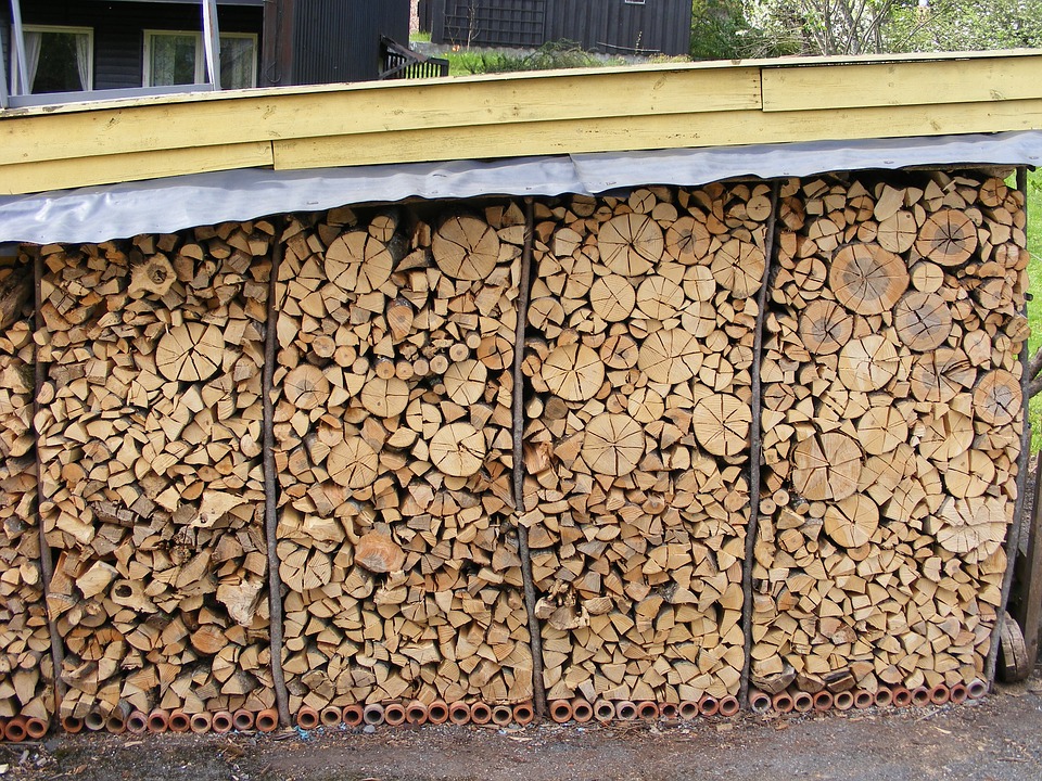 How to Keep Mice Out of Wood Pile