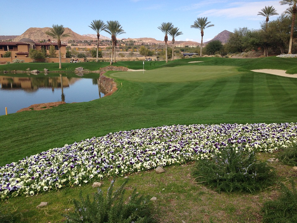 Build a Backyard Putting Green in Henderson