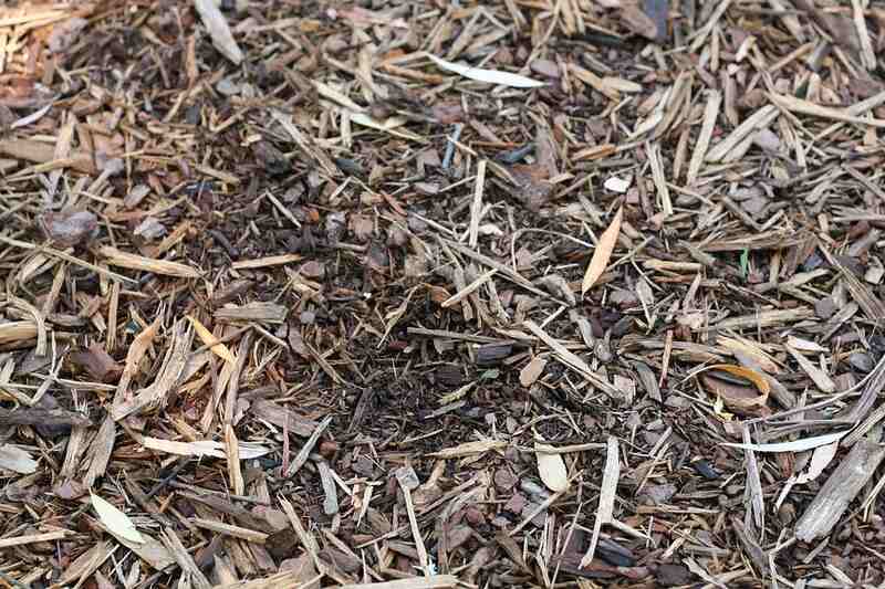 mulch