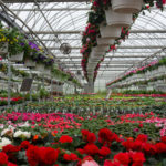 Nursery, Garden, and Farm Supply Store Industry Statistics