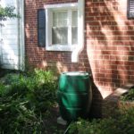 Using Rainwater to Irrigate Your Lawn in Asheville, N.C.