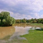 How To Keep Water Drainage Off Your Lawn