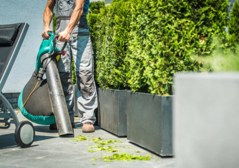 Leaf vacuum