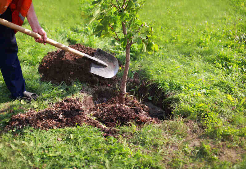 use of shovel