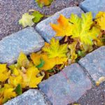 How To Remove Leaves From Mulch and Flower Beds