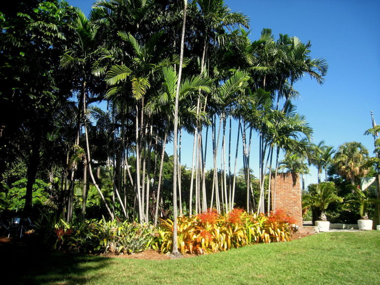 miami gardening