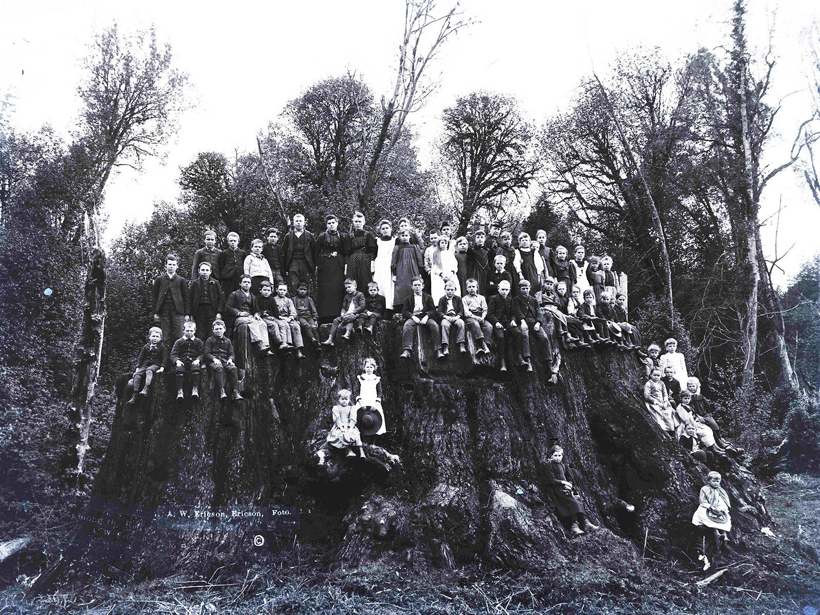 Children pose atop a giant redwood stump.