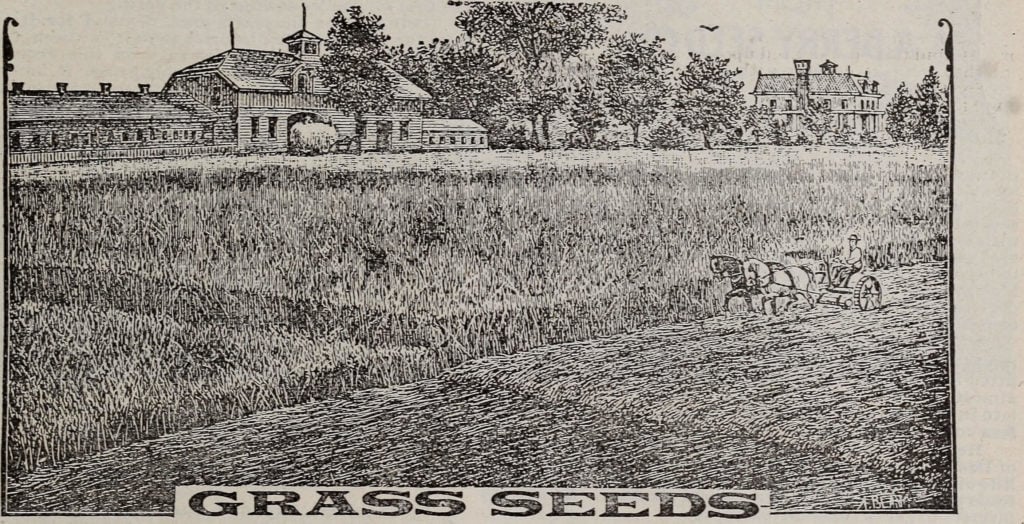Advertisement from a 1902 seed catalog