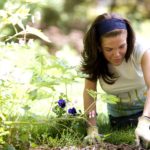 10 Native Flowers That Will Thrive in Your Chicago Garden