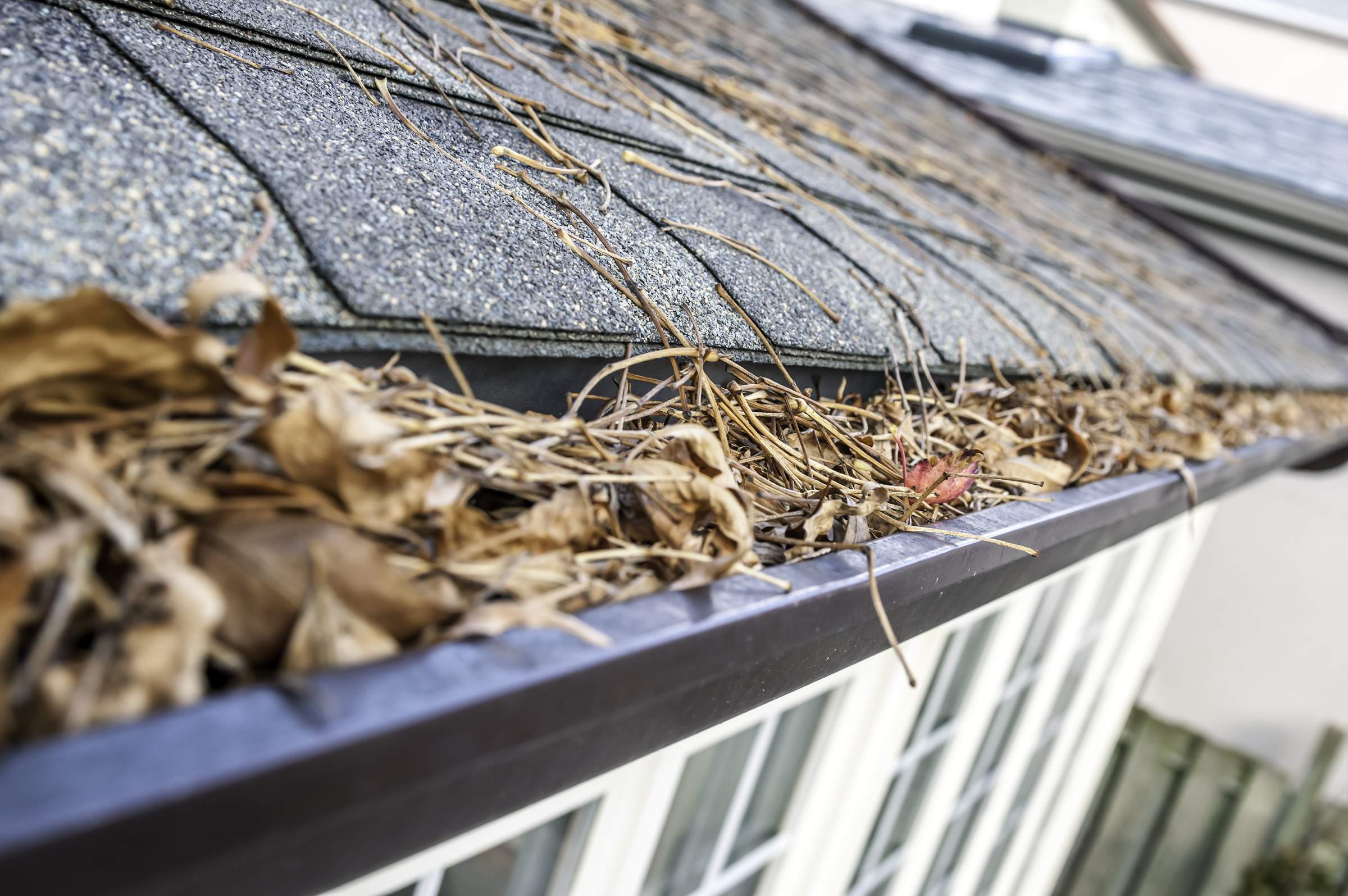 Gutter full of debris from leaves