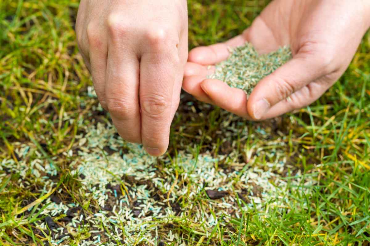 7 Tips for Growing Quality Hay