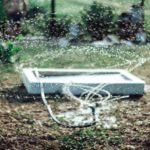Keep Your Grass Healthy With a Lawn Sprinkler Audit