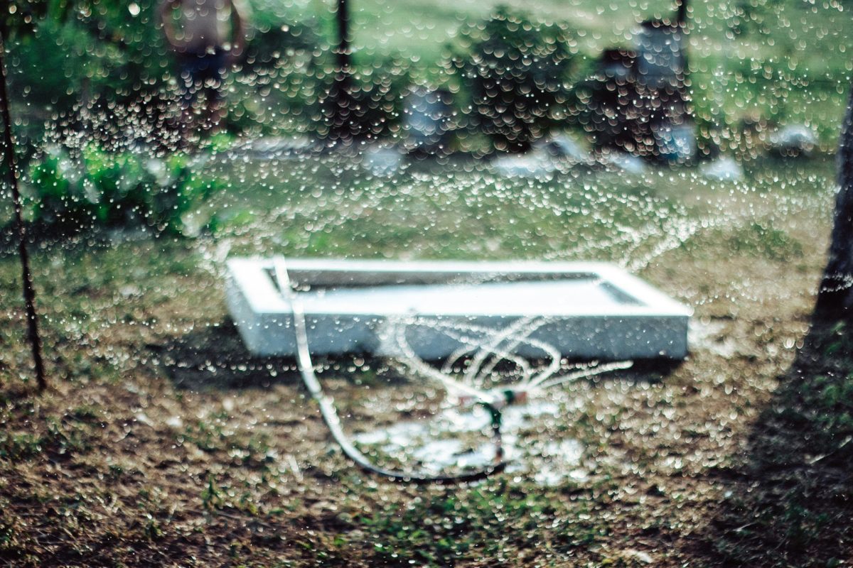 Image by StockSnap from Pixabay