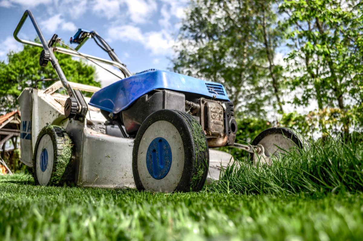 Blue push lawnmower sitting in front of uncut grass