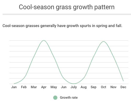 Cool-season grass growth pattern