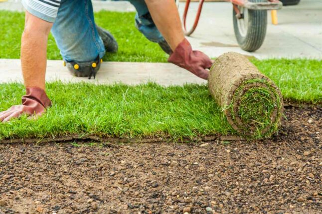 How to Lay Sod: A Step-by-Step Guide
